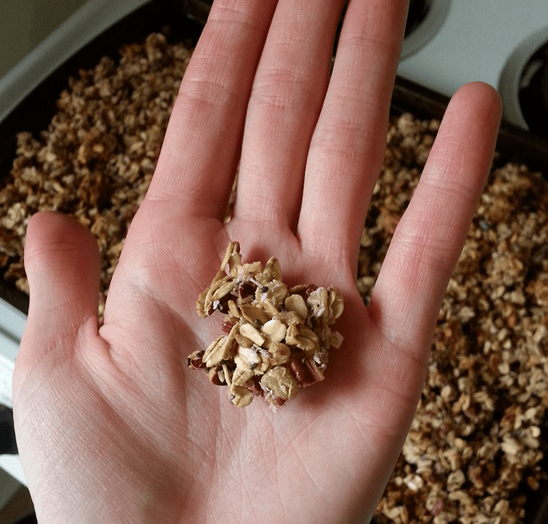 granola-1.png