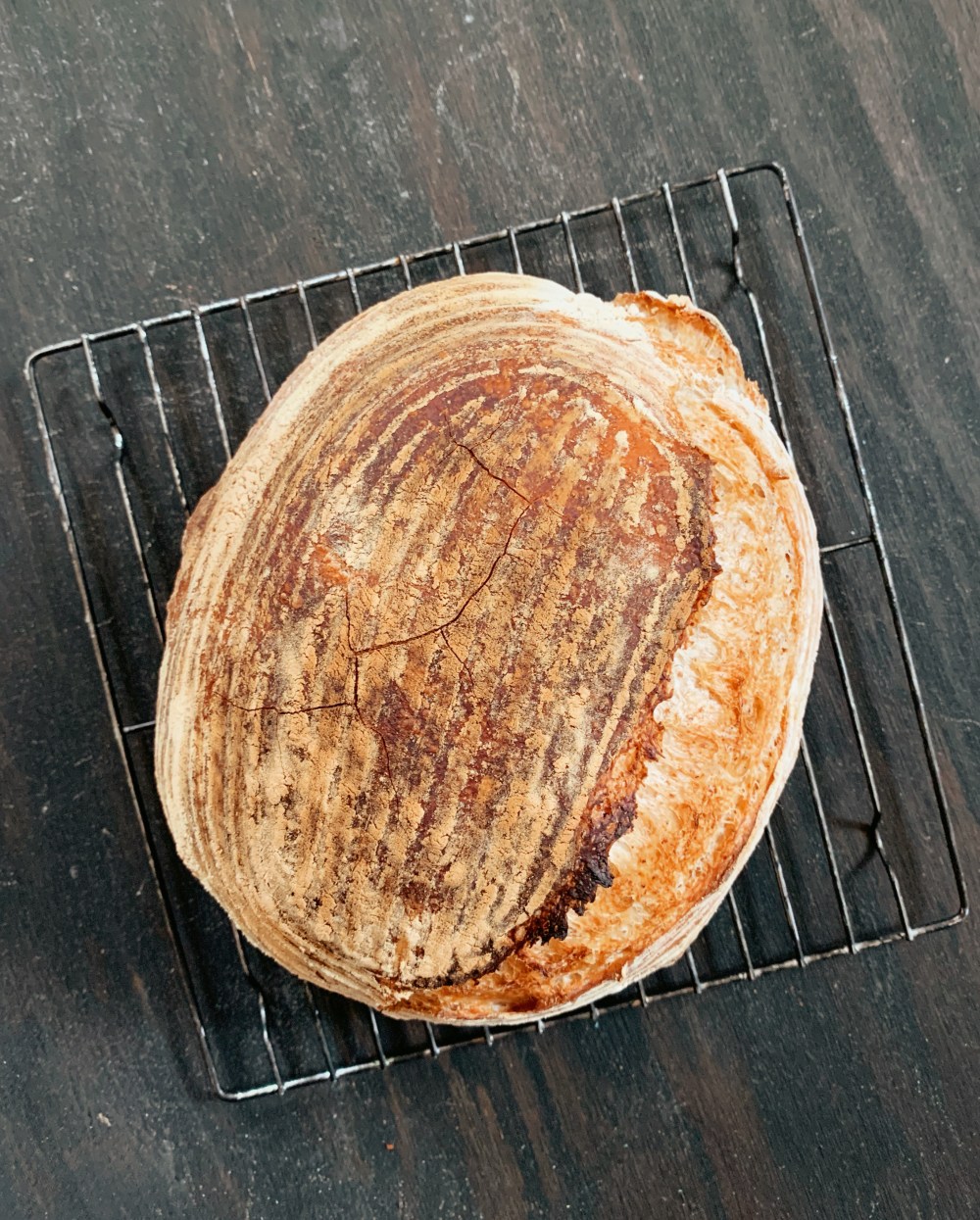 Painted Fork | Classic Sourdough Table Loaf Recipe